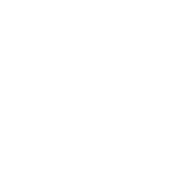 Logo pickleball