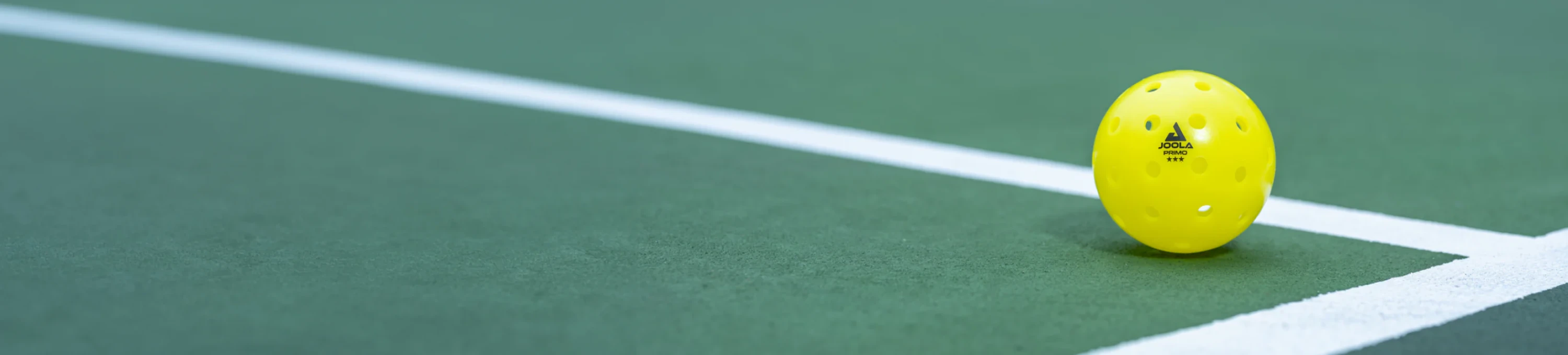 Bóng Pickleball